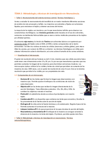 TEMA-3.pdf