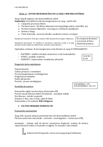 ESTUDI-MICROBIOLOGIC-DE-LA-SANG-I-MOSTRES-ESTERILS.pdf