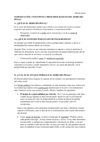 Apuntes-penal.pdf
