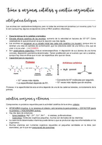Tema-3.pdf