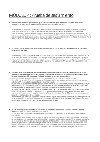 MODULO-4-Prueba-de-seguimiento.pdf