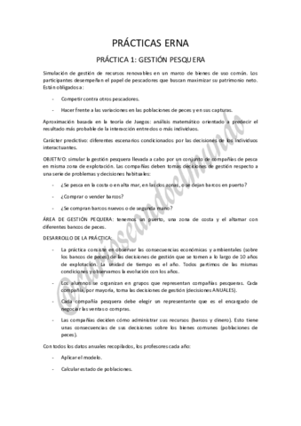 PRACTICAS-ERNA.pdf