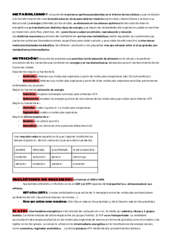 INTRO-METABOLISMO-ENZIMAS-Y-VITAMINAS.pdf