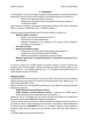 SIT1-Introduccio.pdf