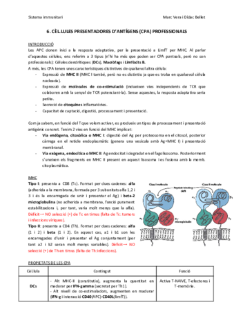 SIT6-CPAs.pdf