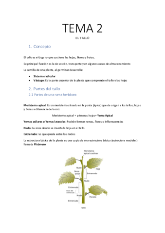 TEMA-2-El-Tallo.pdf