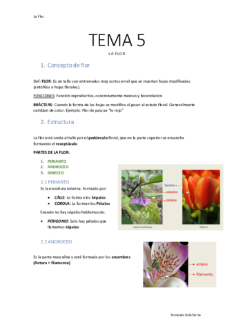TEMA-5-La-Flor.pdf