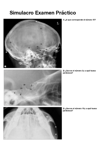 Simulacro-Examen-Practico-pdf.pdf