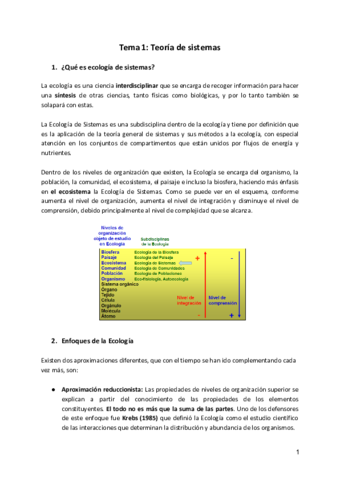 Tema-1-Teoria-de-sistemas.pdf