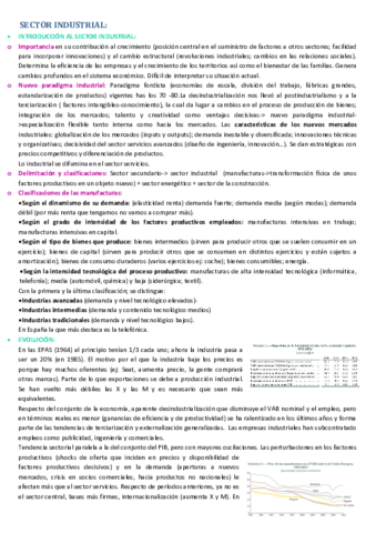 SECTOR INDUSTRIAL.pdf