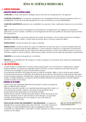 TEMA-11-GENETICA-MENDELIANA.pdf