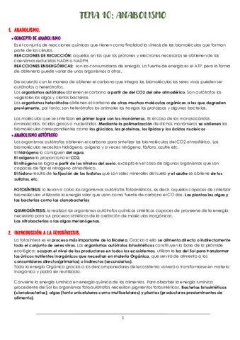 TEMA-10-ANABOLISMO.pdf