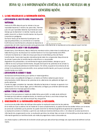TEMA-12-LA-INFORMACION-GENETICA.pdf