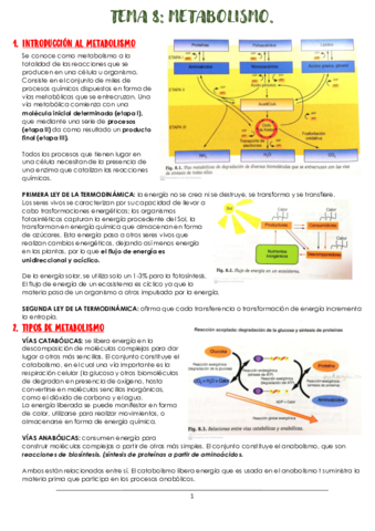 TEMA-8-METABOLISMO.pdf