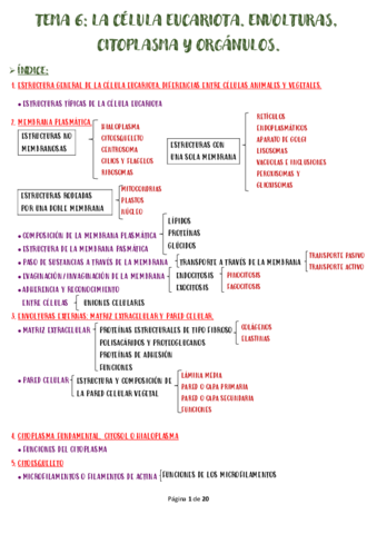 TEMA-6-LA-CELULA-EUCARIOTA.pdf