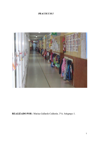 Memoria-Practicum-I.pdf