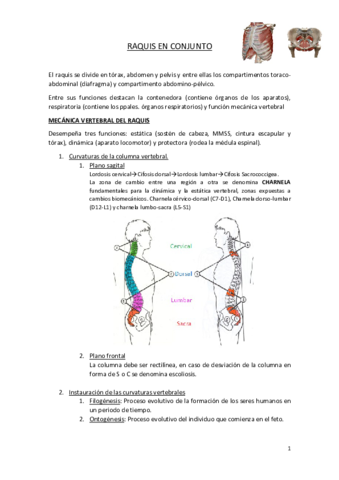 RAQUIS-EN-CONJUNTO.pdf