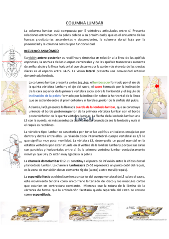 COLUMNA-LUMBAR.pdf