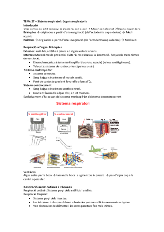 Tema 27 - Sistema respiratori organs respiratoris.pdf