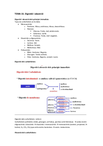Tema 33 - Digestió i absorció.pdf
