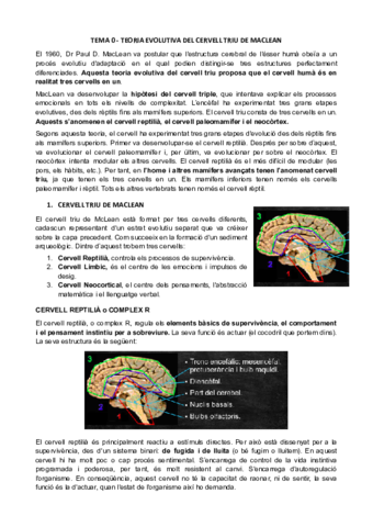 TEMA-0-TEORIA-EVOLUTIVA-DEL-CERVELL-TRIU-DE-MACLEAN-psicofisiologia.pdf
