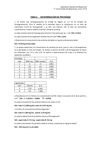 Problemas T 5 2015-16.pdf