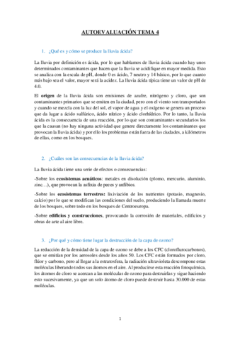 Autoevaluacion-TEMA-4.pdf