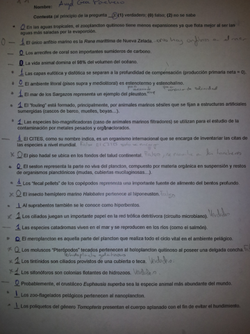 1-parcial-1.pdf