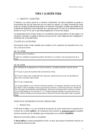 TEMA-3-ACCION-PENAL.pdf