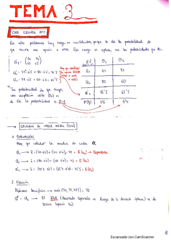 TEMA-3.pdf