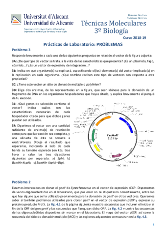 Probls3and4TMol2018-9.pdf