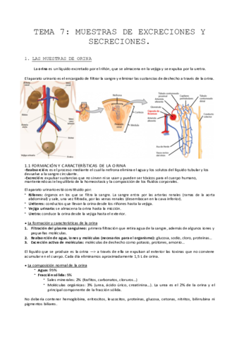 Gestion-7.pdf