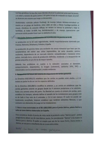 examen.pdf