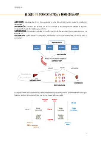 Bloque-III.pdf