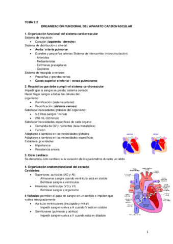 Tema 3.2 Aparato cardiovascular