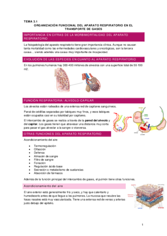 Tema 3.1 Transporte aparato respiratorio