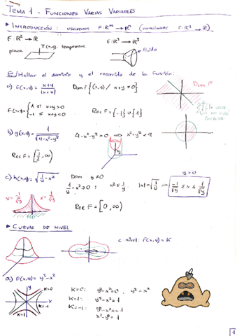 Cálculo2 Tema1 - Teoría y Ejercicios