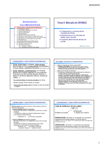 Tema-5-MF-Mercado-de-Divisasppt.pdf
