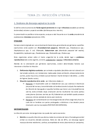 Tema-25-infeccion-uterina.pdf