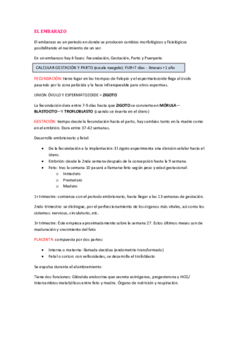 EL-EMBARAZO.pdf