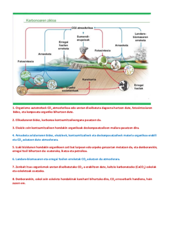 ZIKLO-BIOGEOKIMIKOAK-Documentos-de-Google.pdf