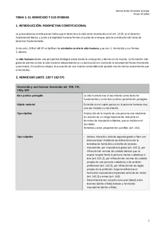 APUNTES PENAL ESPECIAL (TODO) G.10.pdf
