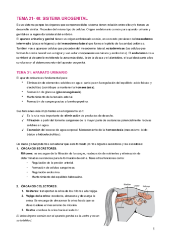 Urogenital.pdf