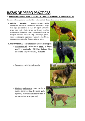 Razas-de-Perros.pdf