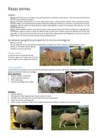 Razas-ovinas.pdf