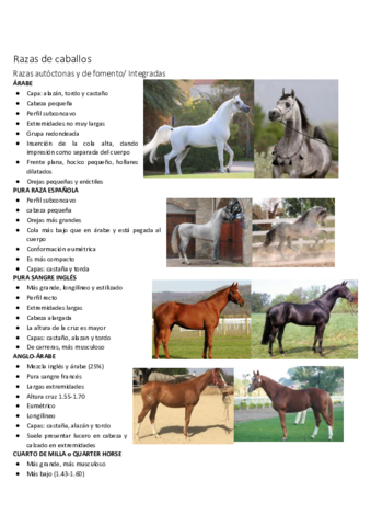 Razas-de-equinos.pdf
