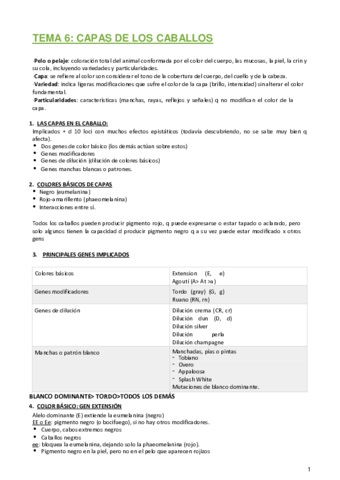 Etnologia-y-seminarios.pdf
