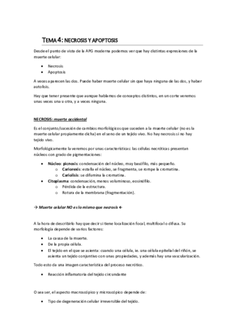 tema-4-1.pdf