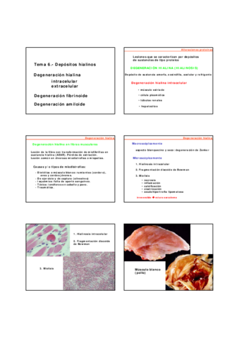 Tema-6-Depositos-hialinos.pdf