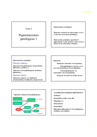 Tema-8-Pigmentos-1.pdf